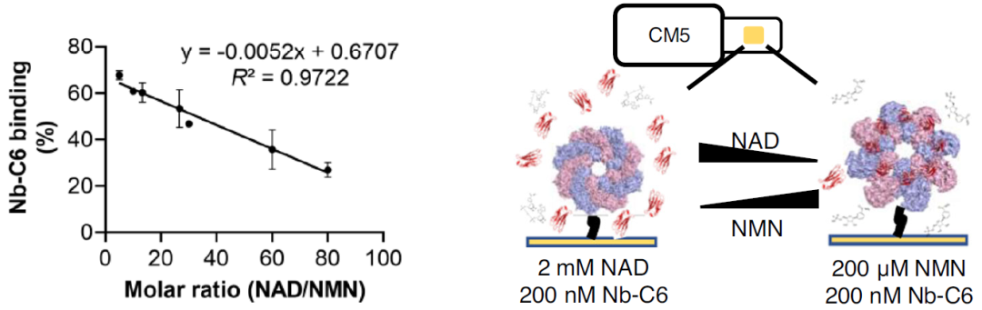 640 (1).png 640 (1).png