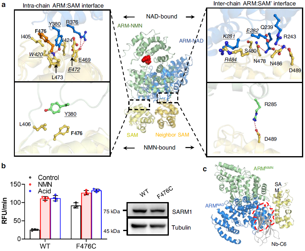 640 (4).png 640 (4).png