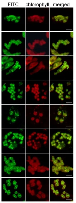 3.webp.jpg 3.webp.jpg