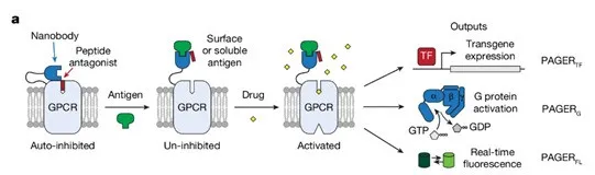 1739348156301(1).jpg 1739348156301(1).jpg