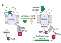 1739348174137.jpg 1739348174137.jpg