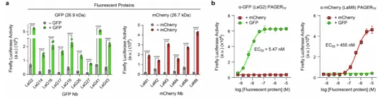 1739348188597.jpg 1739348188597.jpg