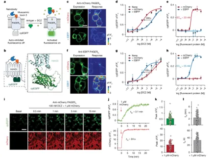 1739348206535(1).jpg 1739348206535(1).jpg