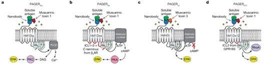1739348217681(1).jpg 1739348217681(1).jpg