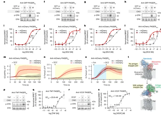 1739348227660.jpg 1739348227660.jpg