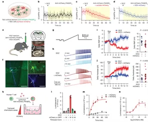 1739348237566(1).jpg 1739348237566(1).jpg