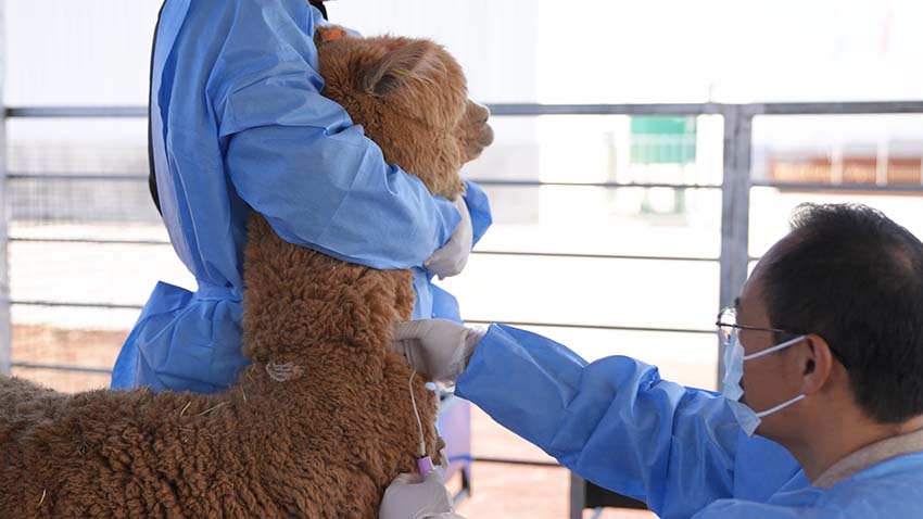 圖片3.jpg 圖片3.jpg