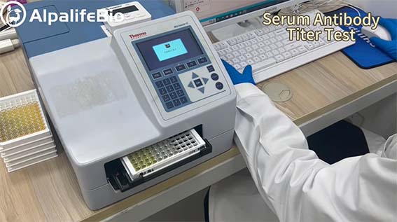 圖片44.jpg 圖片44.jpg